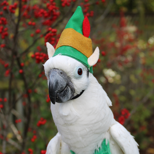 Elf BirdieBonnet - Avian Fashions
