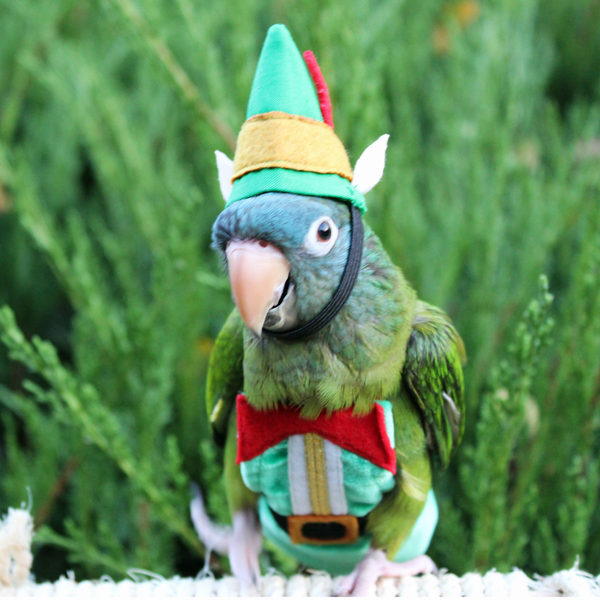 Elf BirdieBonnet - Avian Fashions
