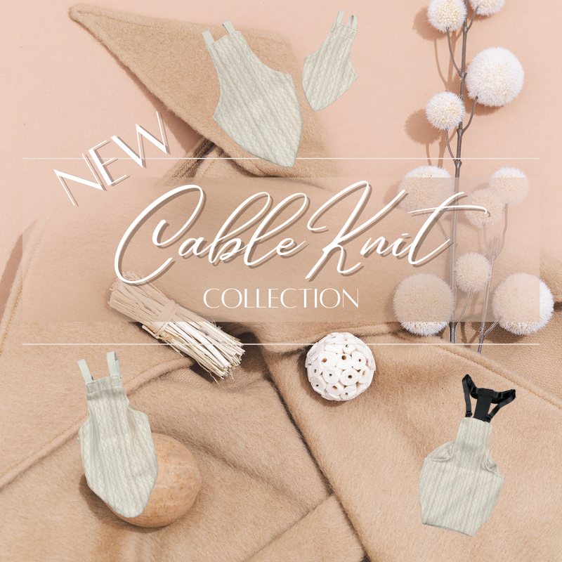 Avian Fashions by Bird Nerd