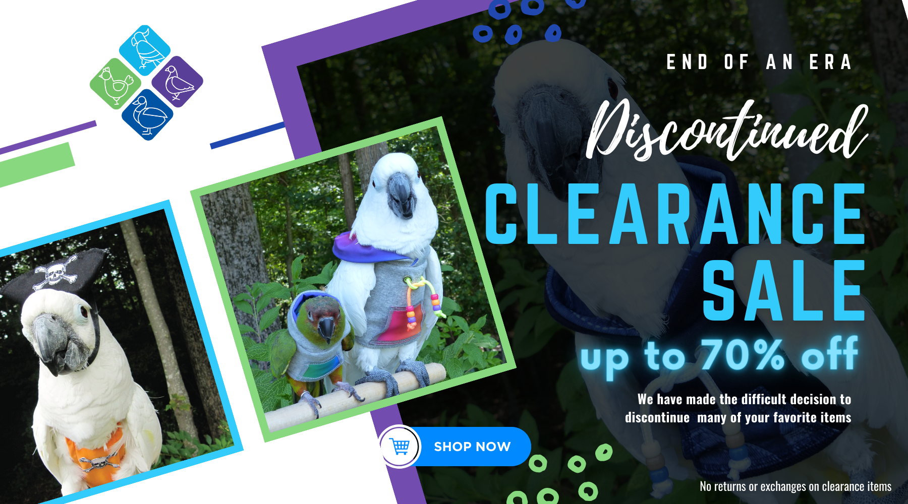 Avian Fashions by Bird Nerd