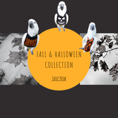 Avian Fashions by Bird Nerd