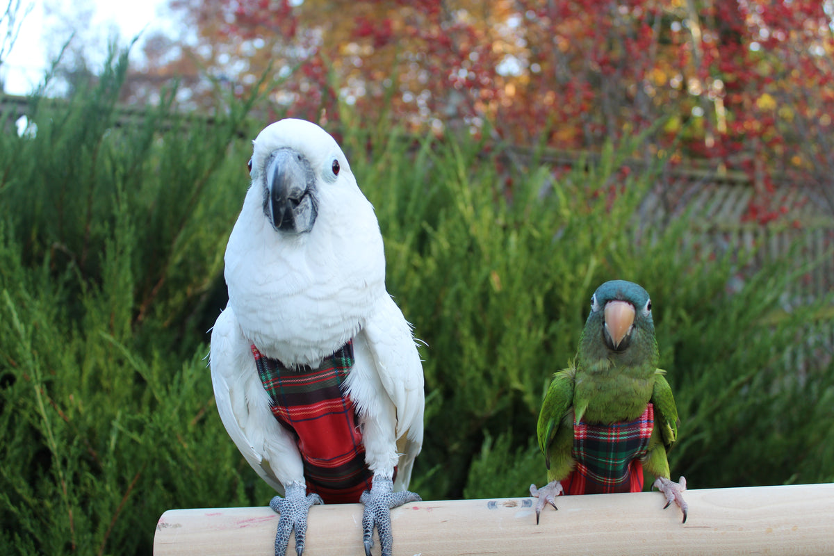 Mad for Plaid FeatherWear FlightSuit™